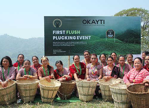 First Flush Plucking